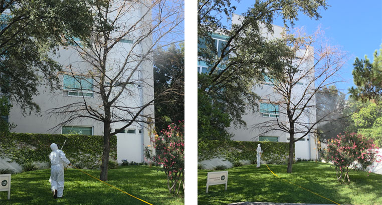 Proyecto Residencial San Pedro