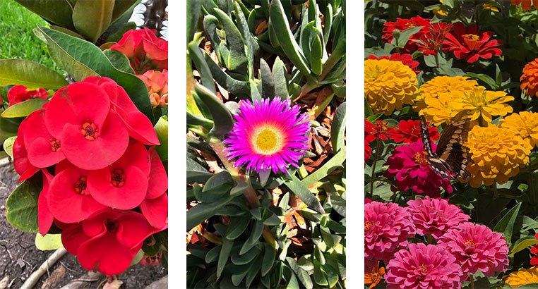 Proyecto Residencial San Pedro