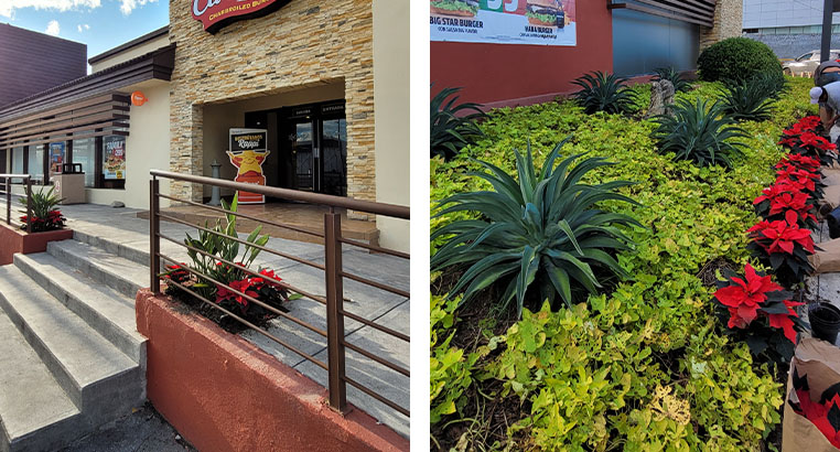 Proyecto Carl's Jr | Landscaping LASA