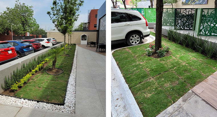 Proyecto Corporativo Oxxo