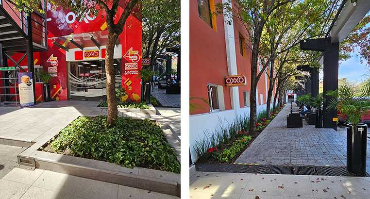 Proyecto Corporativo Oxxo