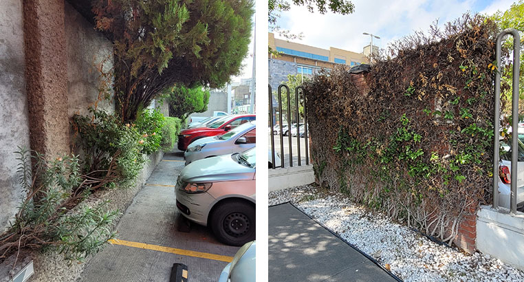 Proyecto Corporativo Oxxo