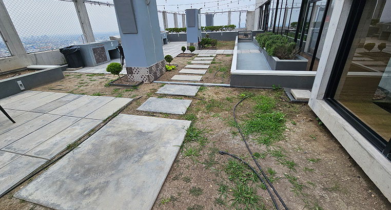 Proyecto Semillero La Purísima