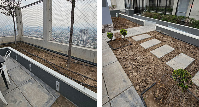 Proyecto Semillero La Purísima