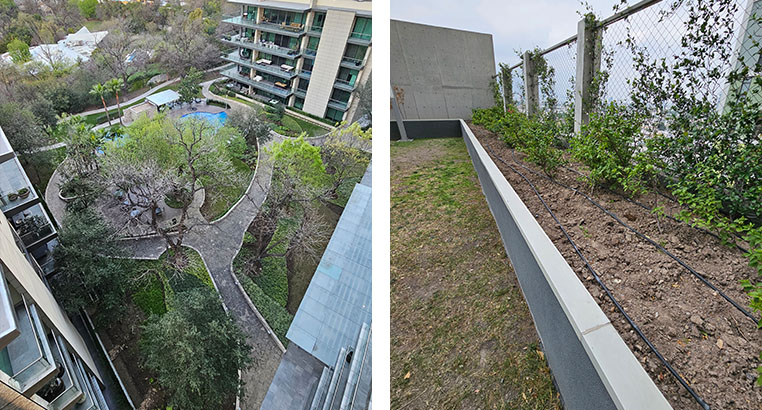 Proyecto Semillero La Purísima