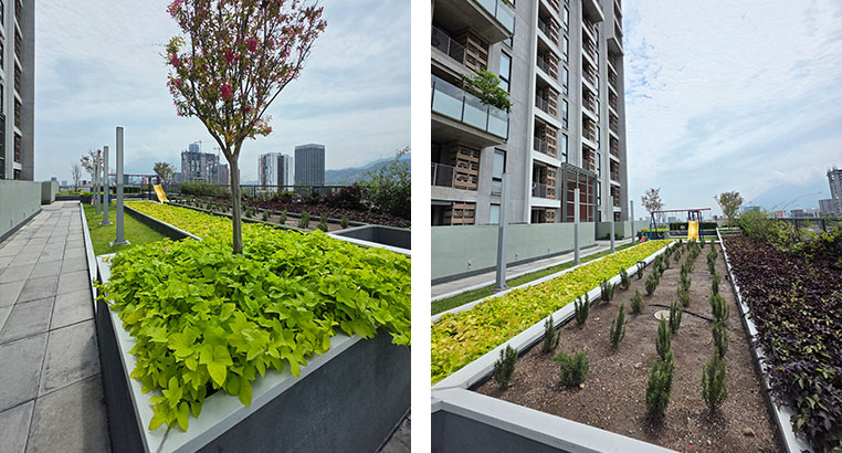 Proyecto Semillero La Purísima