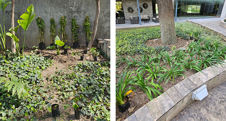 Proyecto Serena Green Living