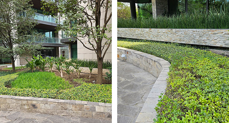 Proyecto Serena Green Living