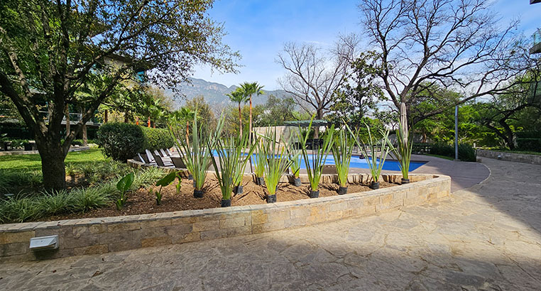 Proyecto Serena Green Living