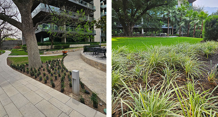 Proyecto Serena Green Living