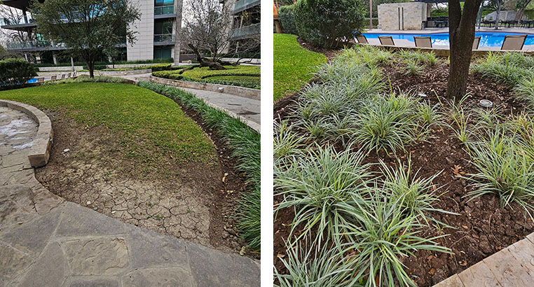 Proyecto Serena Green Living