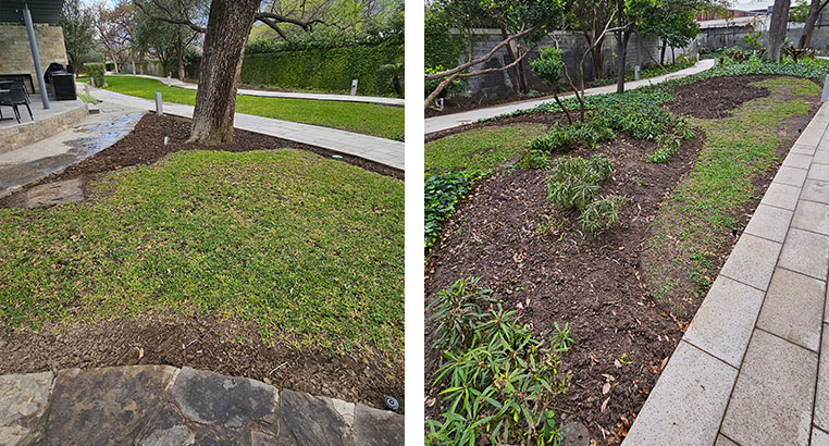 Proyecto Serena Green Living