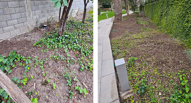 Proyecto Serena Green Living